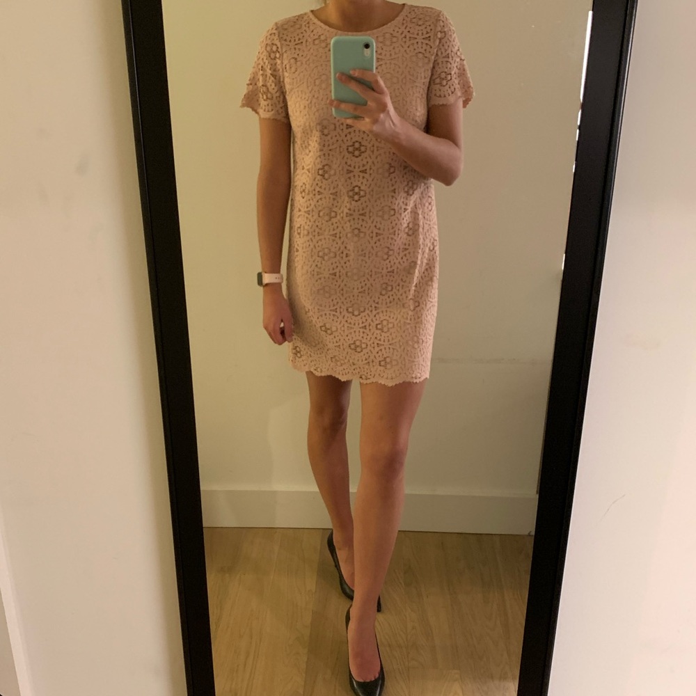 Ann Taylor Pale Pink Lace Dress